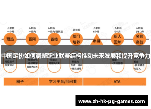 中国足协如何调整职业联赛结构推动未来发展和提升竞争力