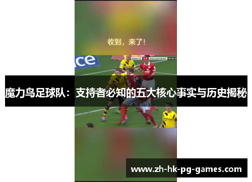 魔力鸟足球队：支持者必知的五大核心事实与历史揭秘
